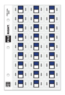 Option – Color-Code Auto-Make BMW, Ring Book, Pkg. of 270 labels