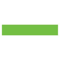 Option – Flourescent Green & Black Slogan - Blank - Qty. 12