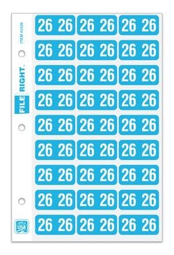 Pack of 270 Year 2026 in Ring book Style