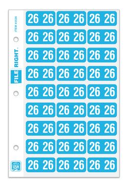 Option – Pack of 270 Year 2026 in Ring book Style