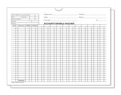 Option – Accounts Payable Voucher Env. - DSA-540 WHITE - Qty. 500