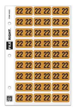 Pack of 270 Year 2022 in Ring book Style