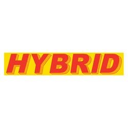 Yellow & Red Slogan - Hybrid - Qty. 12
