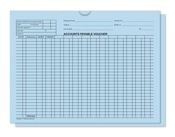 Option – Accounts Payable Voucher Env. - DSA-540 BLUE - Qty. 500