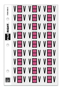 Option – Color-Code Alphabet Letter V, Ring Book, Pkg. of 270 Labels