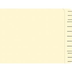 Option – File Right File Folders