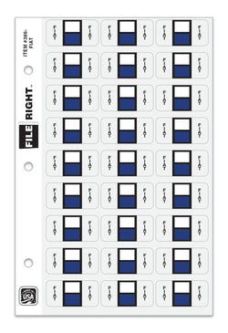 Option – Color-Code Auto-Make FIAT, Ring Book, Pkg. of 270 labels
