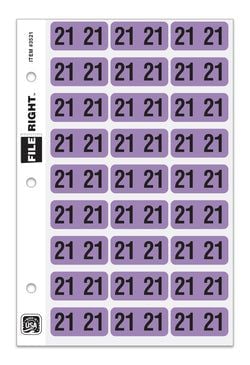 Pack of 270 Year 2021 in Ring book Style