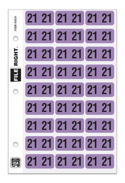 Option – Pack of 270 Year 2021 in Ring book Style