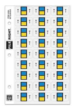 Option – Color-Code Auto-Make MIT, Ring Book, Pkg. of 270 labels
