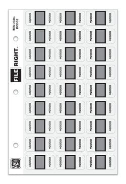 Color-Code Auto-Make DODGE, Ring Book, Pkg. of 270 labels