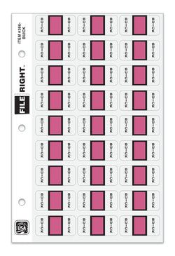 Option – Color-Code Auto-Make BUICK, Ring Book, Pkg. of 270 labels
