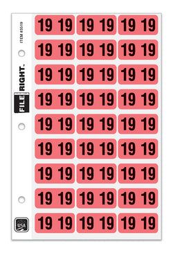 Pack of 270 Year 2019 in Ring book Style