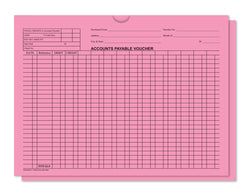Option – Accounts Payable Voucher Env. - DSA-540 PINK - Qty. 500