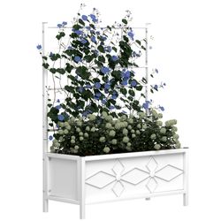 Colors – White