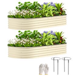 Color – Cream White