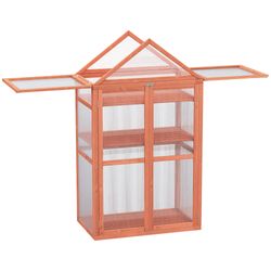 Color – Orange