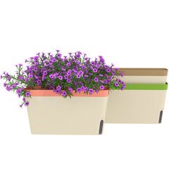 Pack – 3 Pack