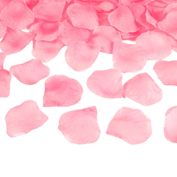 Farbe – Rosa