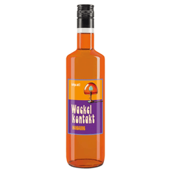 Ausführung – Flasche