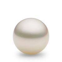 Shape – Semi-Round