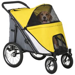 Color – Yellow