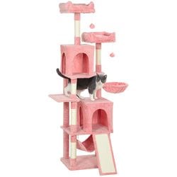 Color – Pink