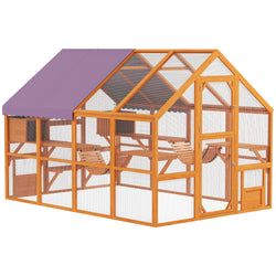 Color – Orange