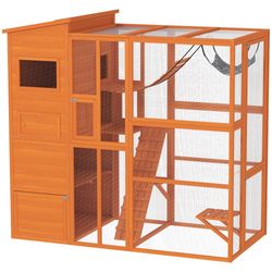 Color – Orange