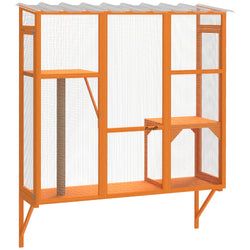 Color – Orange