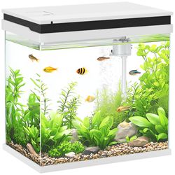 38L x 26W x 38H cm