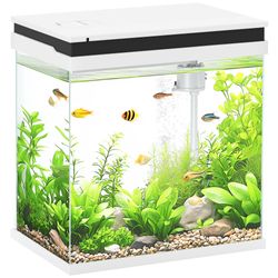 30L x 20W x 33H cm
