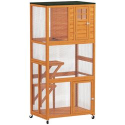 Color – Orange