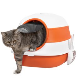 Color – Orange