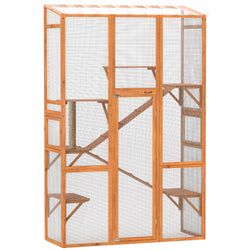 Color – Orange