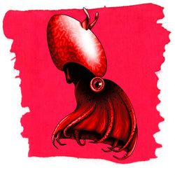 Vampire Squid Red