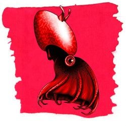 Ink Color – Vampire Squid Red