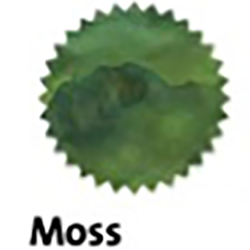 Finish – Moss