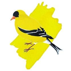 Ink Color – American Goldfinch Yellow