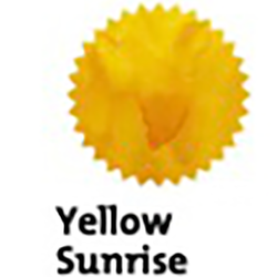 Finish – Yellow Sunrise