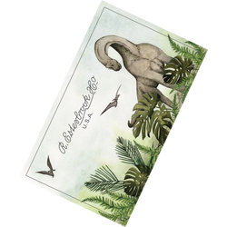 Design – Jurassic