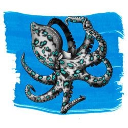 Ink Color – Blue-Ringed Octopus Blue