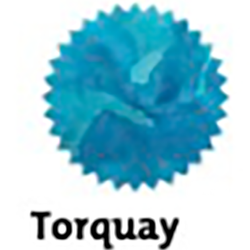 Finish – Torquay