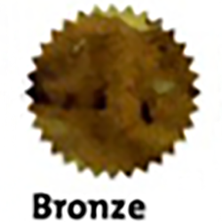 Finish – Bronze
