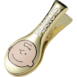 Icons – Charlie Brown