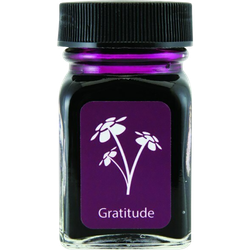 Ink Color – Gratitude Magenta