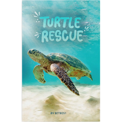 Sea Turtle