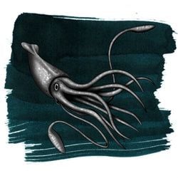 Ink Color – Colossal Squid Dark