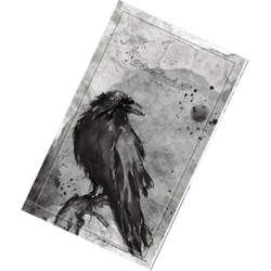 Design – Raven