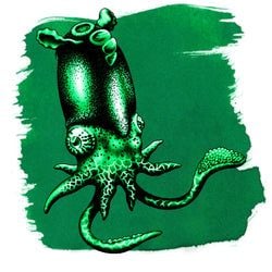 Ink Color – Spirula Green